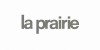La Prairie