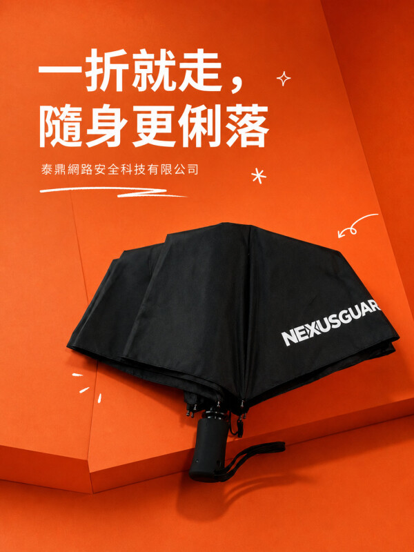 泰鼎网路安全科技有限公司