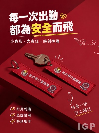 政府飞行服务队