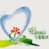 心灵绿洲