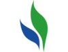 Ever Fountain Global Wealth Management LTD