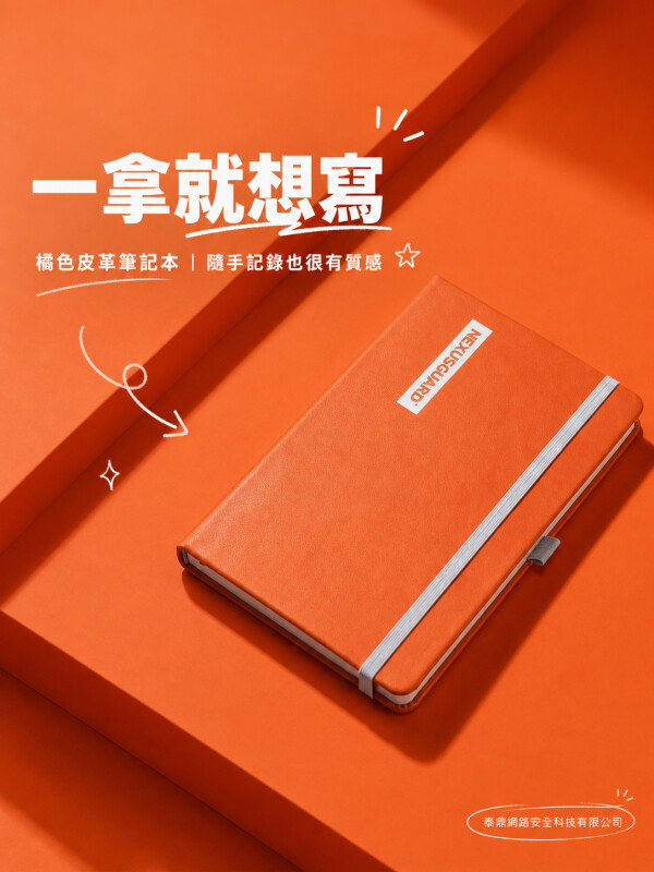泰鼎网路安全科技有限公司