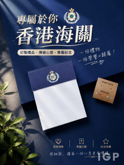 政府飞行服务队