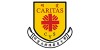 香港中文大学校友会联会陈震夏中学