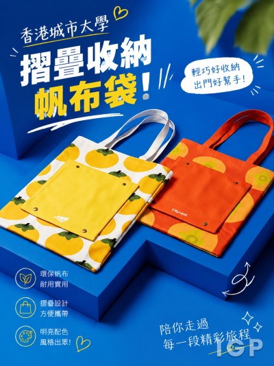 香港城市大学