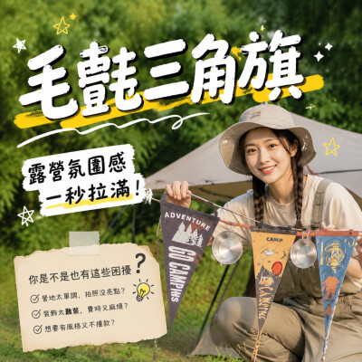 中国大陆企业礼品订制 - 毛毡三角旗